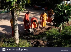 los-monjes-novicios-budistas-trabajando-en-el-jardin-del-museo-phi-ta-khon-en-el-norte-de-la-provincia-de-loei-en-tailandia-eekj5y